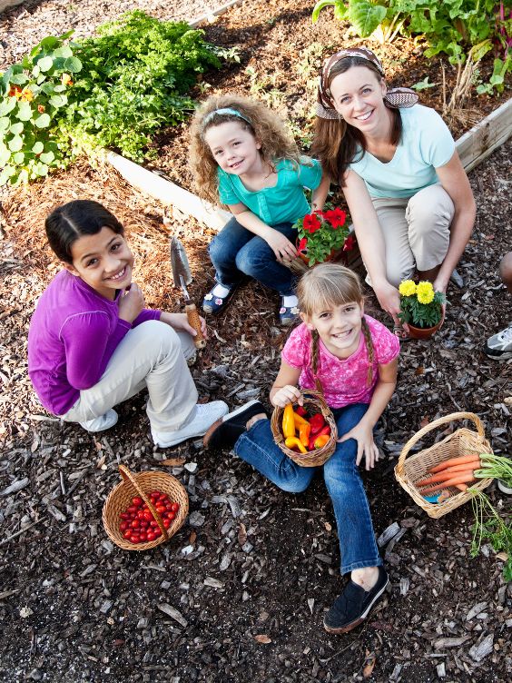 Jardin miniature pour occuper les enfants